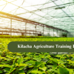 Kilacha Agriculture Training Institute