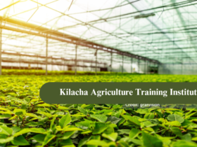 Kilacha Agriculture Training Institute