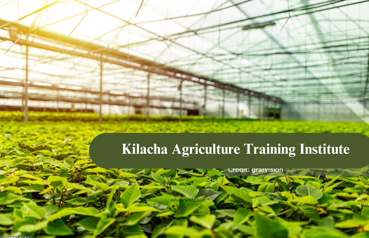 Kilacha Agriculture Training Institute