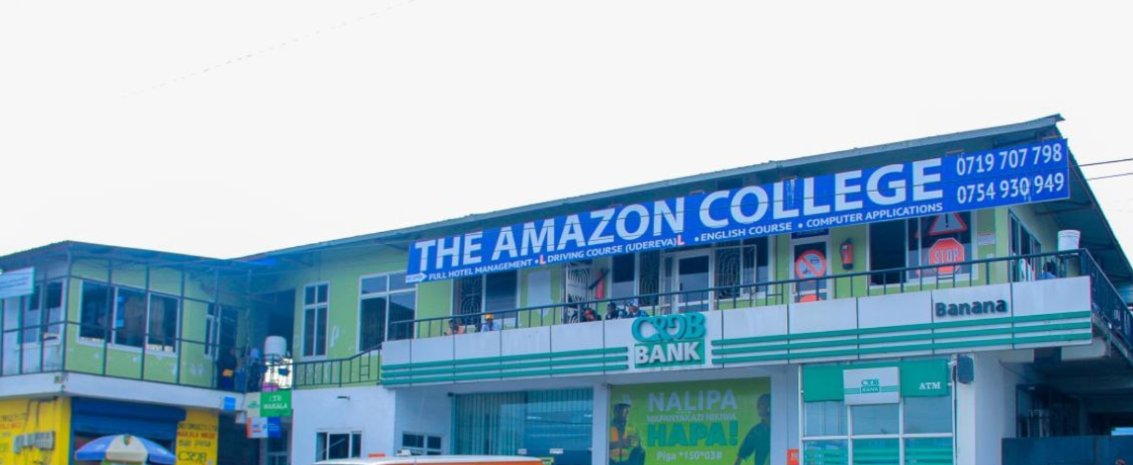 The Amazon College